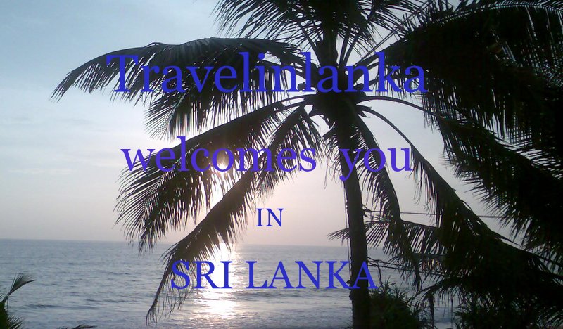 Travelinlanka welcomes you